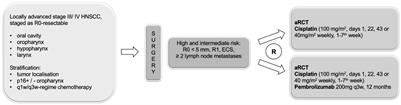 Postoperative adjuvant radiochemotherapy with cisplatin versus adjuvant radiochemotherapy with cisplatin and pembrolizumab in locally advanced head and neck squamous cell carcinoma- the study protocol of the Adrisk trial
